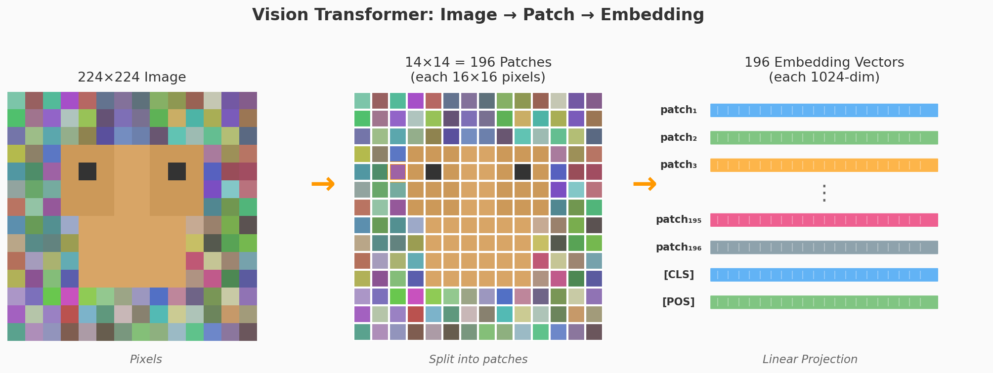 ViT 将图像切成 patch 并投影为 Embedding 向量