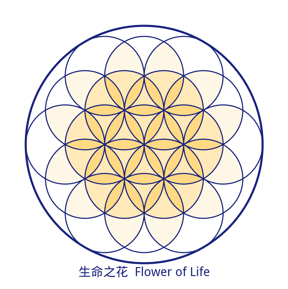 完整的生命之花图案